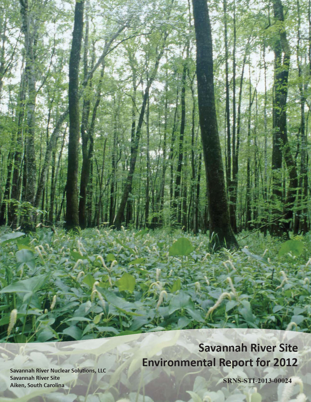 SRS Environmental Report 2012
